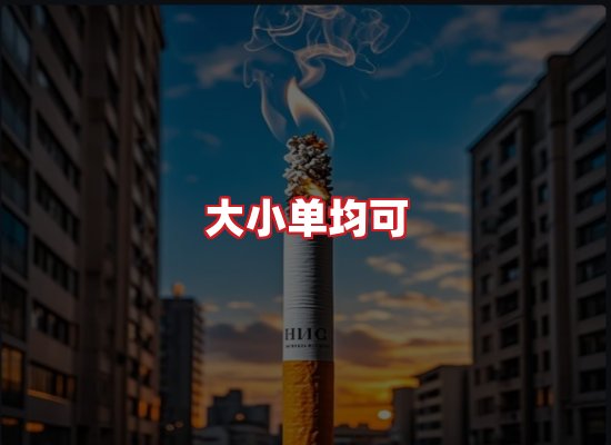 专业团队